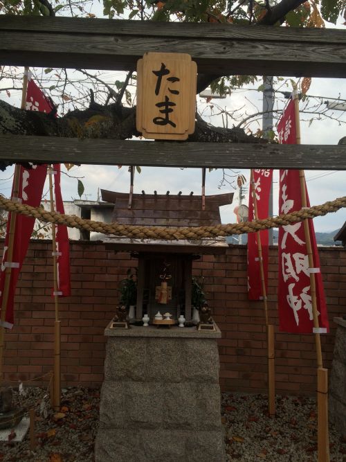 đền tama tỉnh wakayama đền tama tỉnh wakayama